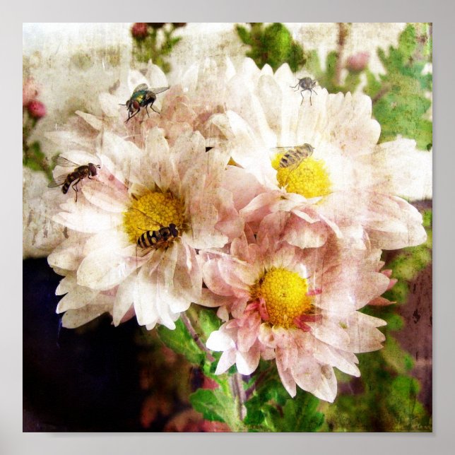 Póster Flores e abelhas (Frente)