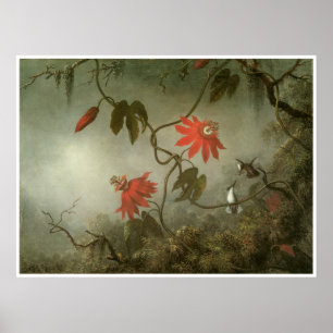 Póster Flores e colibris da paixão