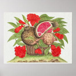 Poster Flores e Frutas de Pomegranato Vintage