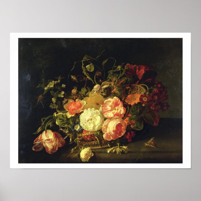 Poster Flores e insetos, 1711 (óleo no painel) (Frente)