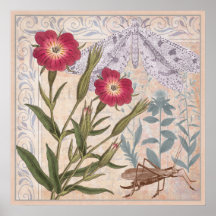 Flores e Insetos da Muralha da Nature Lover