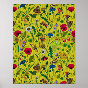 Poster Flores e mariposas selvagens 2