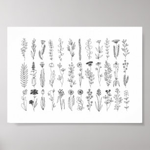 Poster Flores E Plantas De Tinta