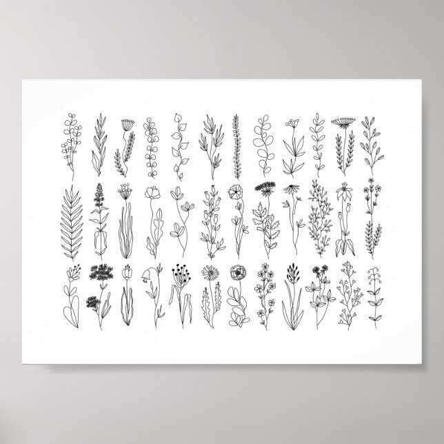 Poster Flores E Plantas De Tinta (Frente)