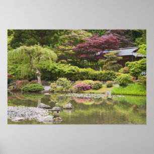 Póster Flores em flor no Jardim Japonês,