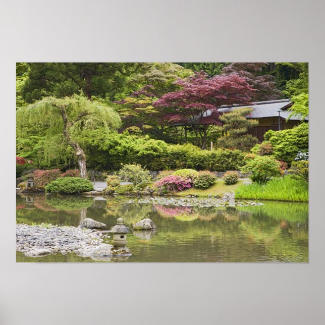 Póster Flores em flor no Jardim Japonês, (Frente)
