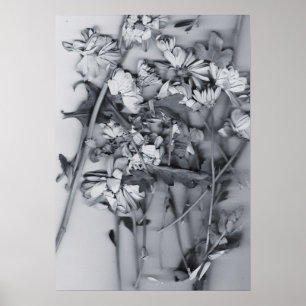 Poster Flores em Preto e Branco