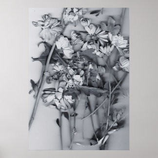 Poster Flores em Preto e Branco