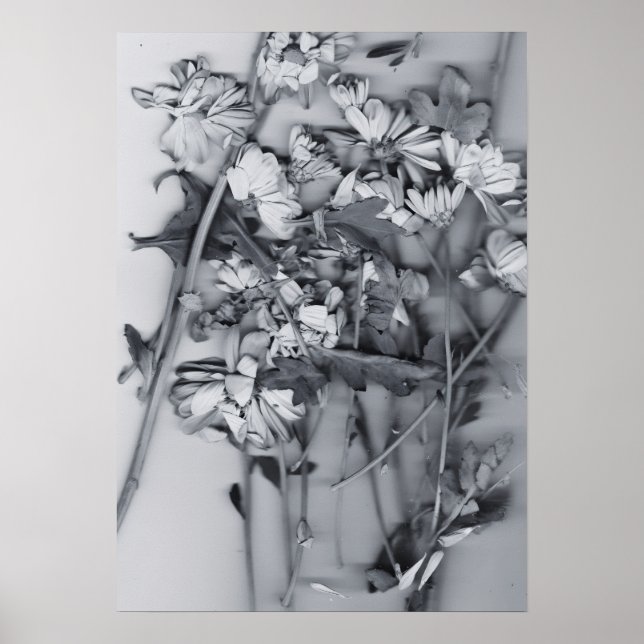 Poster Flores em Preto e Branco (Frente)