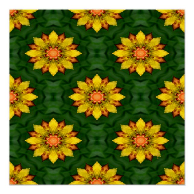 Póster Flores Estrelas.. (Frente)