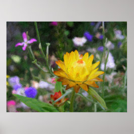 Poster Flores eternas.