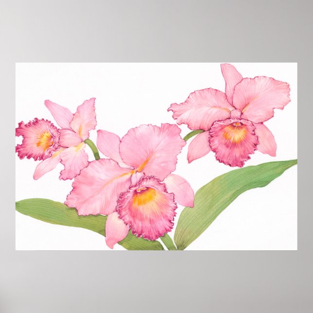 Póster Flores Exóticas De Aquarela Rosa (Frente)