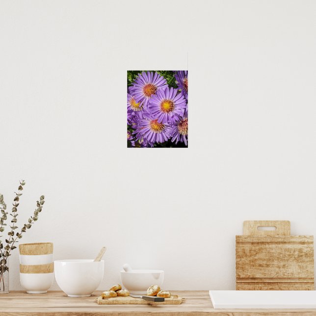 Poster Flores Florais de Áster Roxo (Cozinha)