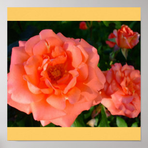 Poster Flores florais elegantes chiques da modificação do