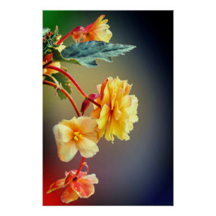 Póster Flores, Flores amarelas, Petais