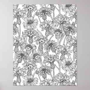 Poster Flores, flores silvestres, a preto e branco