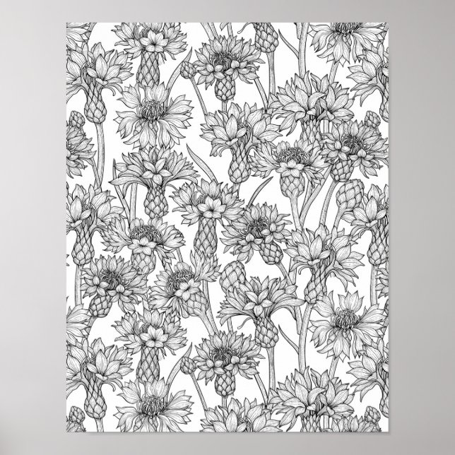 Poster Flores, flores silvestres, a preto e branco (Frente)