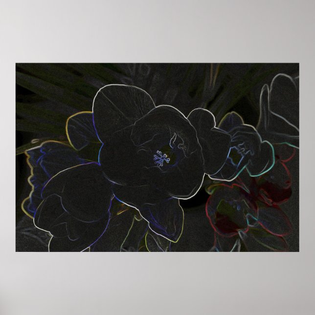 Póster flores freesia esboçadas (Frente)