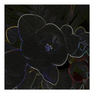 Póster flores freesia esboçadas