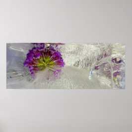 Poster Flores Geladas, 