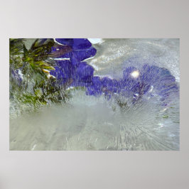 Poster Flores Geladas, 