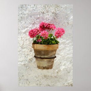 Poster Flores Gerânio em Pote