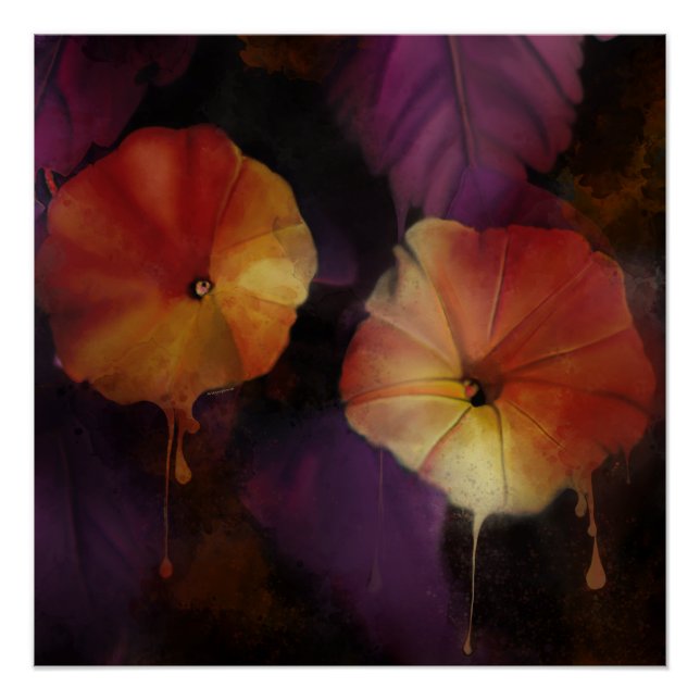 Póster Flores Gloriosas da Manhã (Frente)