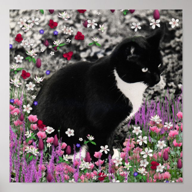 Póster Flores II - Gato Tuxedo Kitty (Frente)