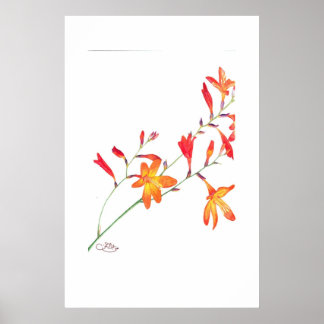 Poster Flores Laranja