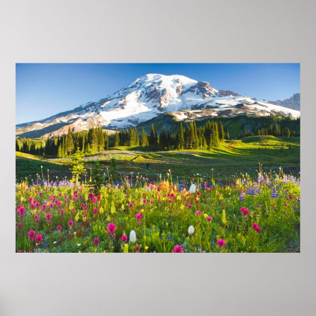 Poster Flores | Mt. Rainier Wildflower (Frente)