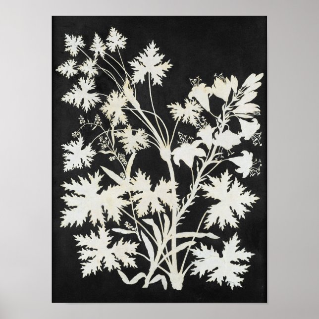 Poster Flores na Silhouette (Frente)