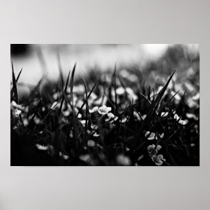 Poster Flores no campo em primavera