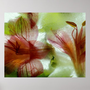 Poster Flores no gelo
