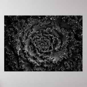 Poster Flores no Quintal em Preto e Branco Nº 107