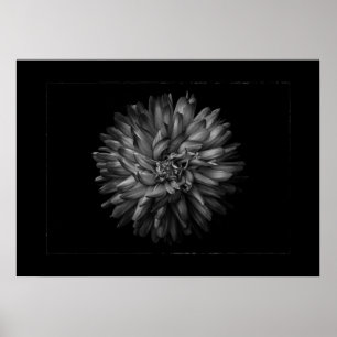 Poster Flores no Quintal em Preto e Branco Nº 20 Borda