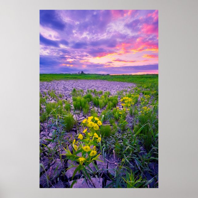 Poster Flores | North Dakota Red River Valley (Frente)