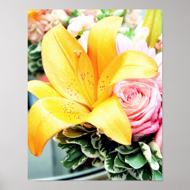 Poster flores para casamentos star lily rosa cor-de-rosa  (Frente)