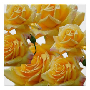 Póster Flores para casas