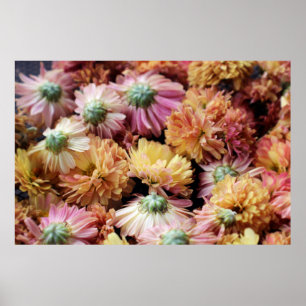 POSTER FLORES PETALIZADAS DE TINTA