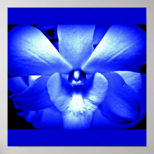 Póster Flores Poster-Flor-Pintadas 13