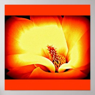 Póster Flores Poster-Flor-Pintadas 9