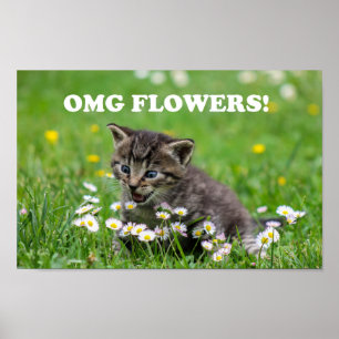 Poster Flores Que Amam Gatinhos Engraçados