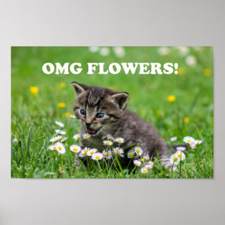 Poster Flores Que Amam Gatinhos Engraçados
