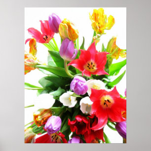 Póster Flores românticas da tulipa do primavera