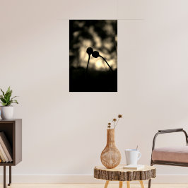 Poster Flores Românticas e Sonhadoras – Fantasia Botânica