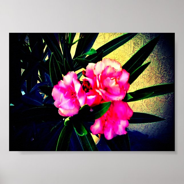 Poster Flores Rosa (Frente)