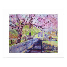 Flores Rosa de Redbud em Williamsburg Virgínia