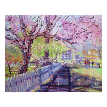 Flores Rosa de Redbud em Williamsburg Virgínia