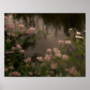 Póster Flores Rosa Por Arte Fotográfica Em Fluxo