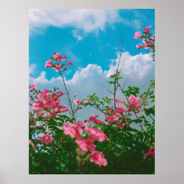 Poster Flores Rosa Sob Céu Azul com Nuvens - Natureza